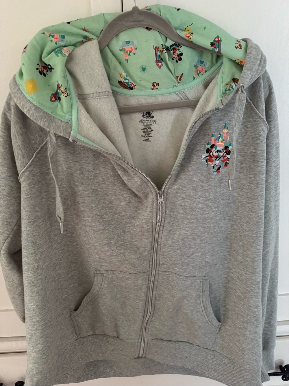 Disneyland Resort zip up hoodie